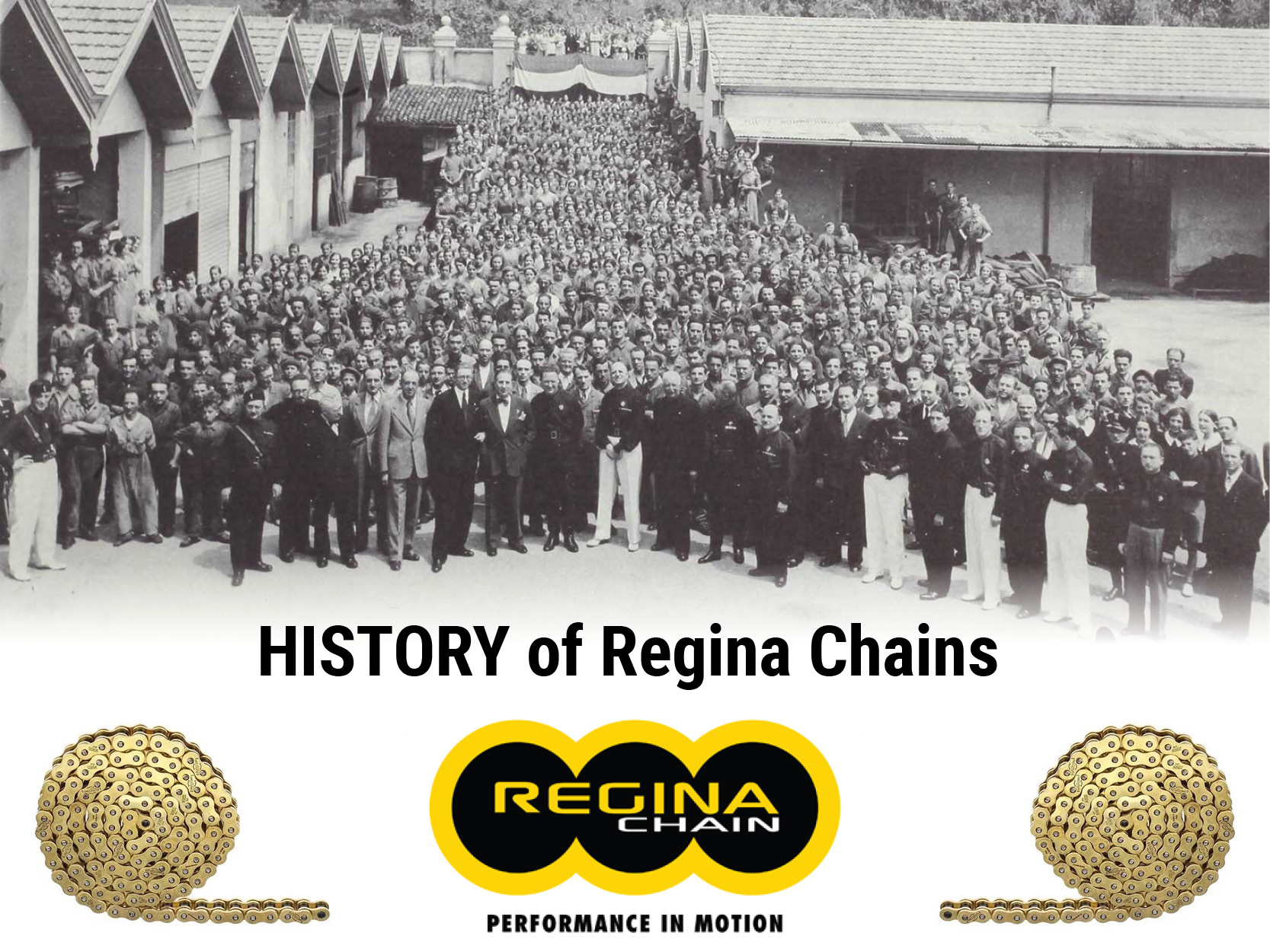 thumbnail image 2 of REGINA Heavy Duty Gold Drive Chain – 428-136 – For Superbyke RMR125 & More 2 of 6