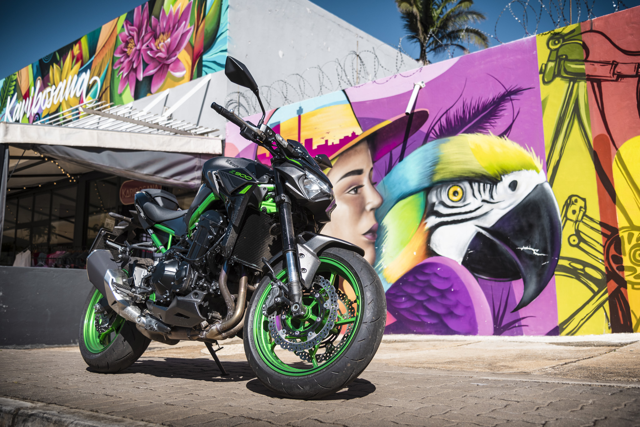2023 Kawasaki Z900 ABS bike | Kawasaki Motocycle Review