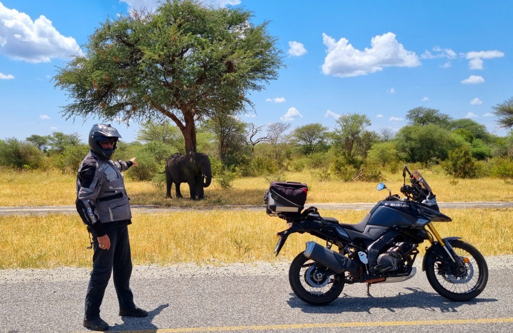 RIDING THROUGH BOTSWANA ON A MOTORCYCLE. ELEPHANT ON THE ROAD SIDERiding a Suzuki DL1050DE from Jo’Burg to Vic Falls