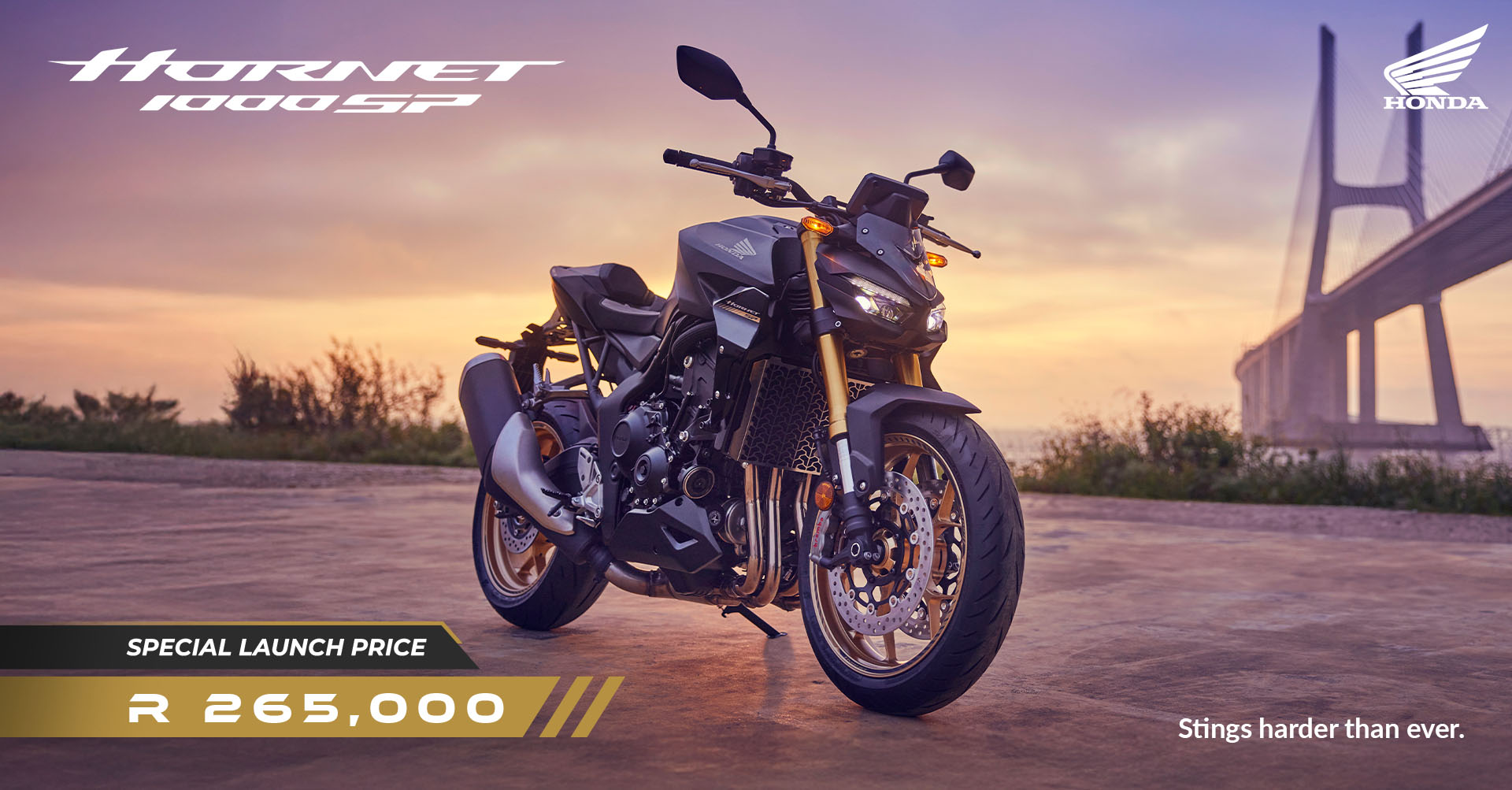 Honda Hornet