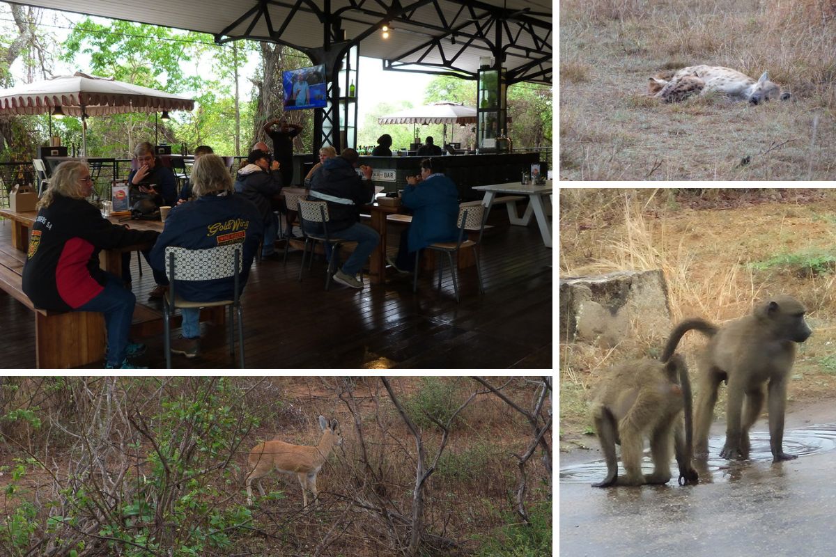 The 40th Wing Fling, Forty Years of Friendship and the Open Road; lots of Honda Goldwings; Honda Gold Wing lineup at 40th Wing Fling Hazyview 2025 Wing Riders SA themed lights parade with Gold Wings in Lowveld Gala dinner prize giving Wing Fling 2025 Gold Wing enthusiasts South Africa