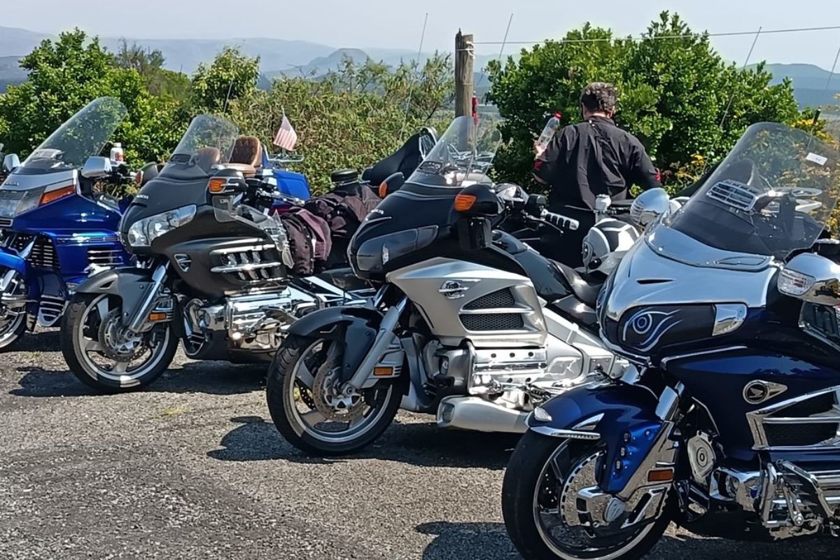 The 40th Wing Fling, Forty Years of Friendship and the Open Road; lots of Honda Goldwings; Honda Gold Wing lineup at 40th Wing Fling Hazyview 2025 Wing Riders SA themed lights parade with Gold Wings in Lowveld Gala dinner prize giving Wing Fling 2025 Gold Wing enthusiasts South Africa